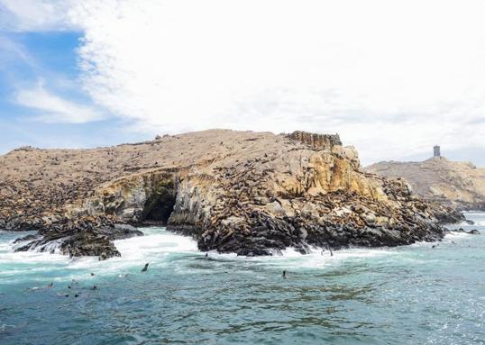Islas Palomino - Lugar turístico en Lima, Perú