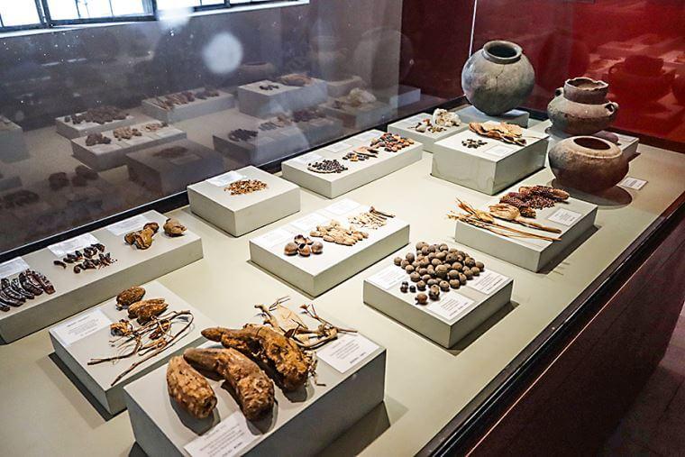 Museo Antonini - Lugar turístico en Nazca, Perú